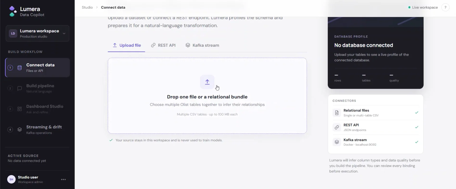 Lumera Data Copilot — view 2